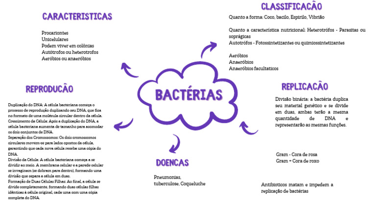 Mapa Mental sobre Bactérias e Doenças | PDF | Célula (Biologia) | Bactérias