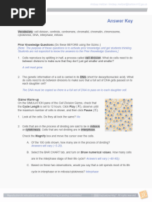 Gizmo Cell Division Key
