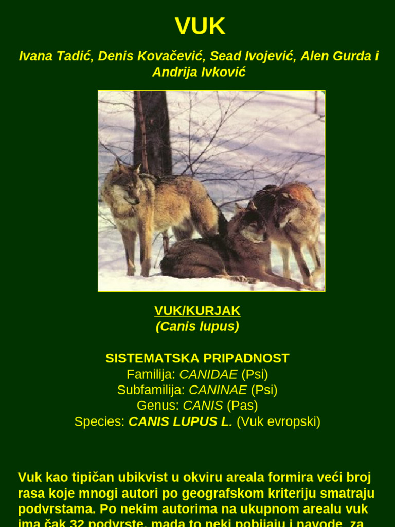 Vuk X | PDF