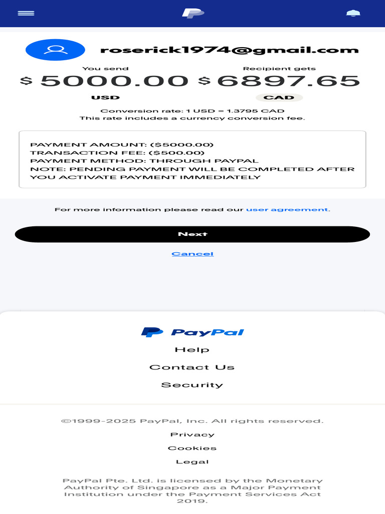PayPal Make A Payment Preview 15 | PDF