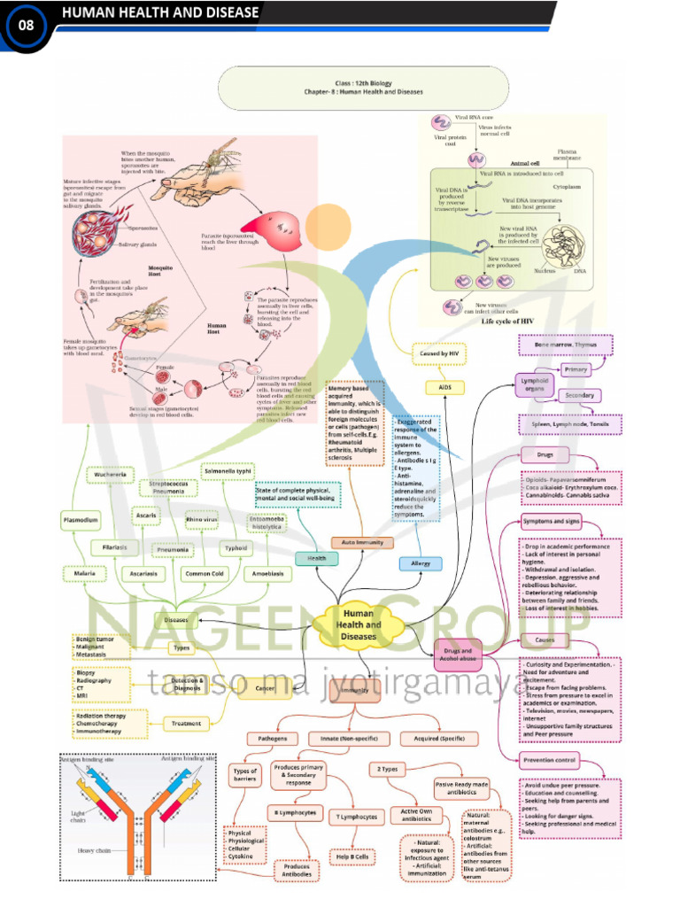 CLASS 12 BIOLOGY MIND MAP Chapter 7 Human Health and Disease | PDF