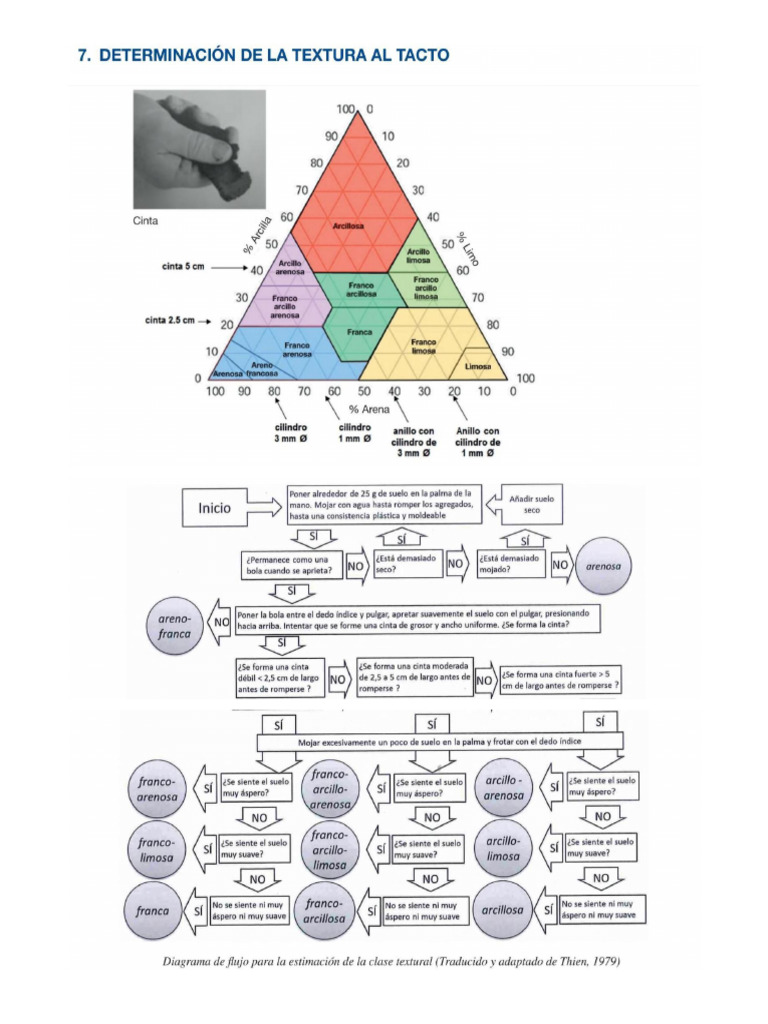 View of Determinación de la textura al tacto | PDF