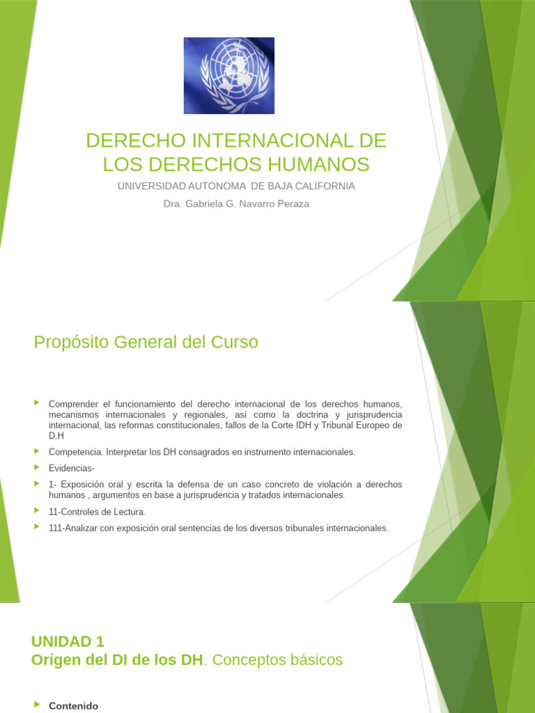 Derecho Internacional de los Derechos Humanos | PDF | Derechos humanos ...