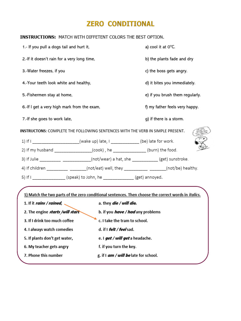 Zero Conditional Exercises and Instructions | PDF