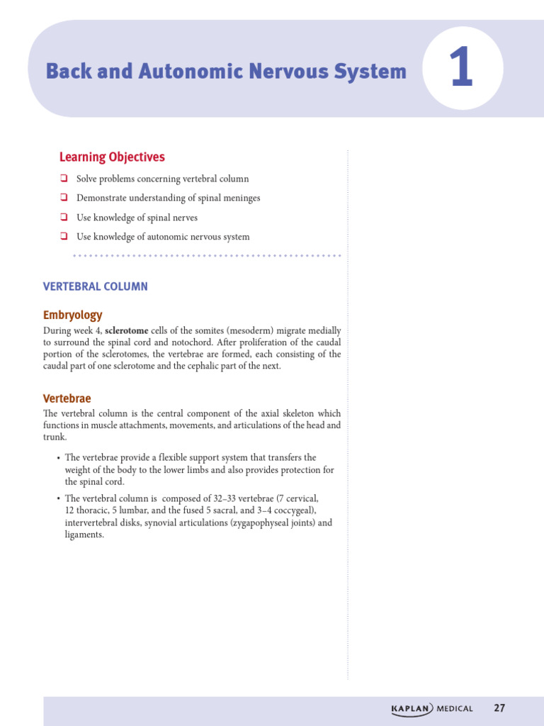 Anatomy of the Vertebral Column | PDF | Vertebra | Vertebral Column