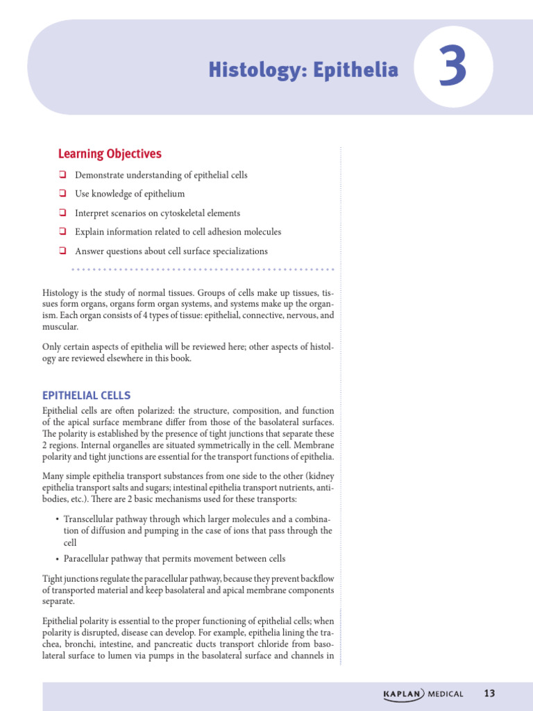 3. Mô học (Histology Epithelia) | PDF | Epithelium | Cell Adhesion