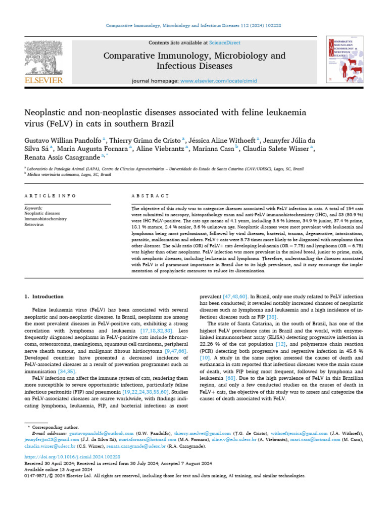 Curated visual reference: 2024 Neoplastic And Non Neoplastic Diseases Associated With Feline Photo Inspiration