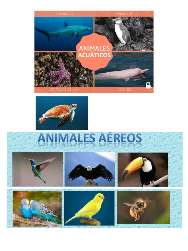 Animales | PDF