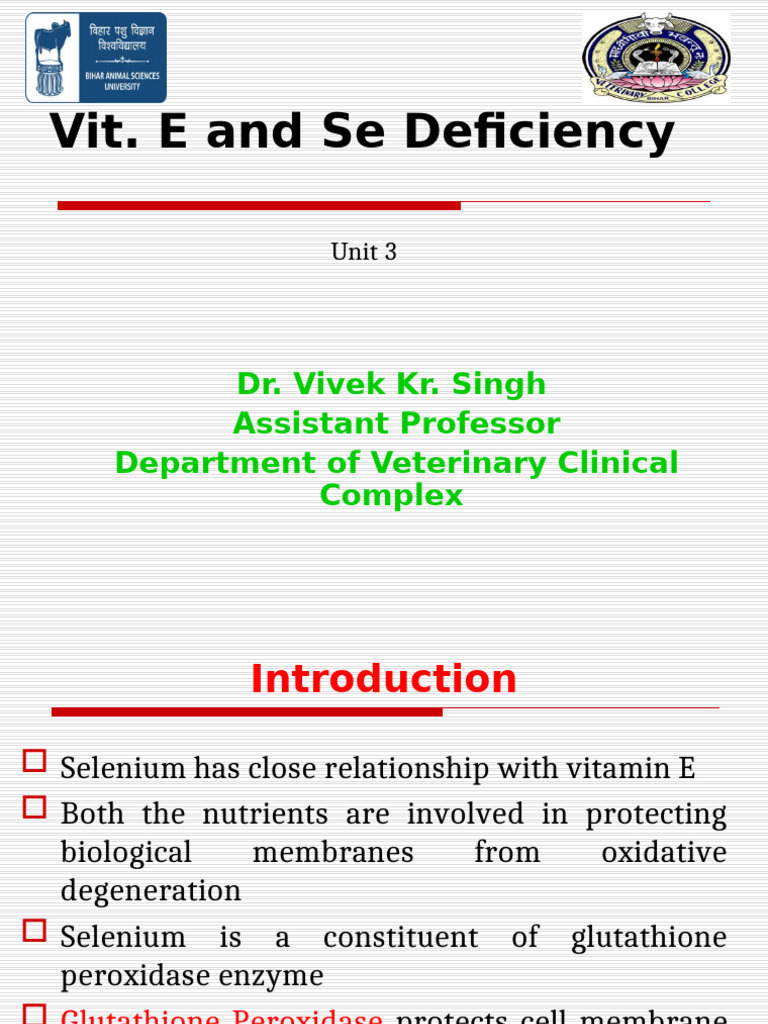 Selenium and Vitamin E Deficiency in Animals | PDF | Selenium | Vitamin E