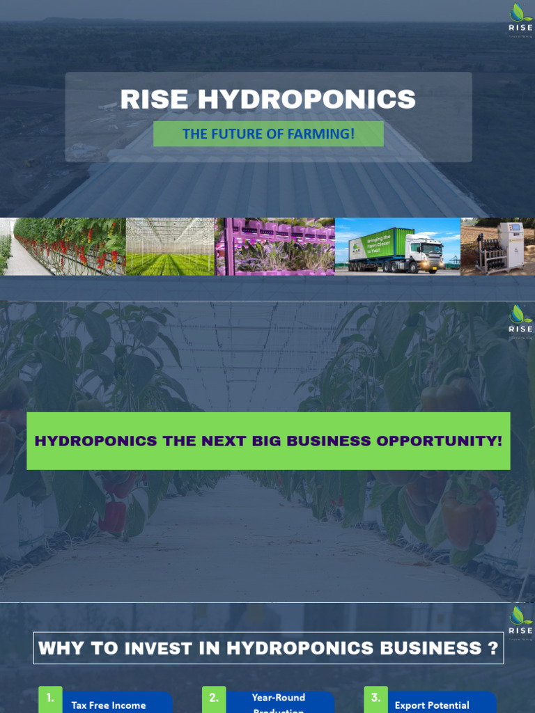 Hydroponics: Investment & Yield Insights | PDF | Agriculture | Hydroponics