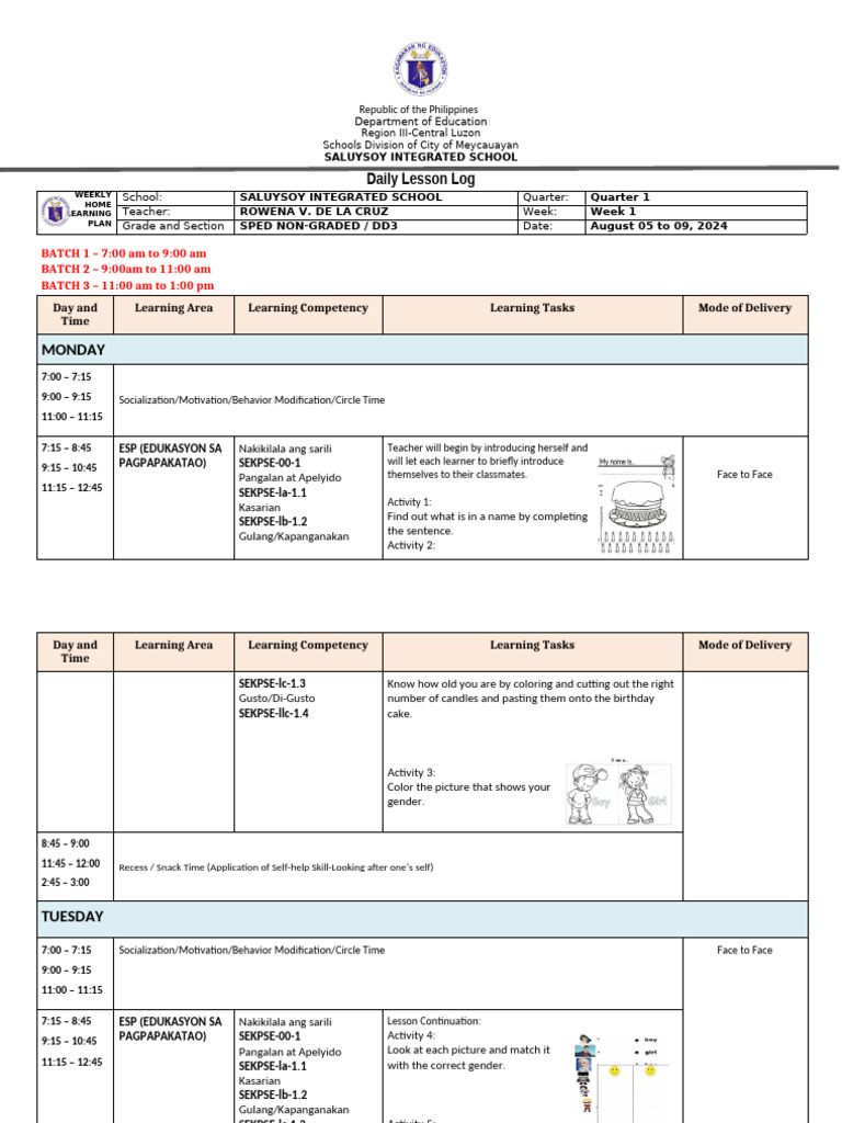 Weekly Learning Plan for SPED Students | PDF | Learning | Cognitive ...