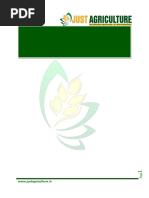 Basal Fertilizer Application Methods | PDF | Fertilizer | Soil