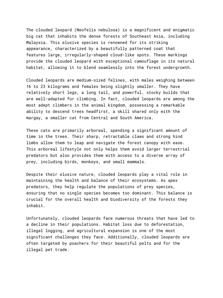 rimau-hutan-pdf-leopard-cats