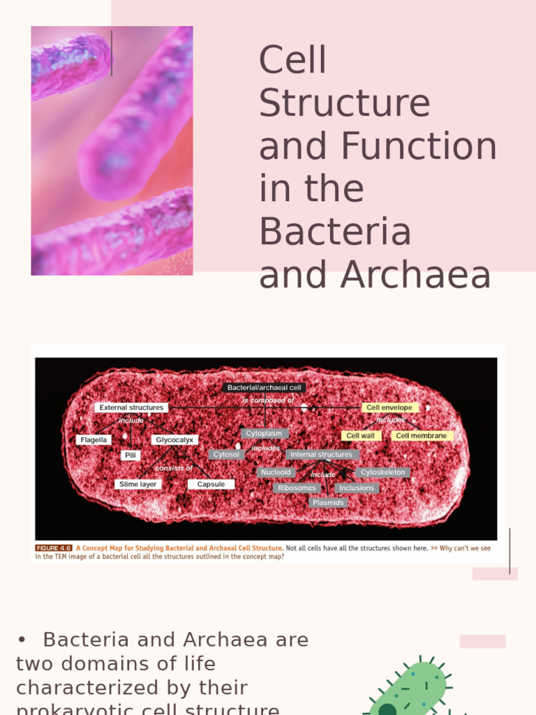 microorganisms | PDF | Cell (Biology) | Bacteria