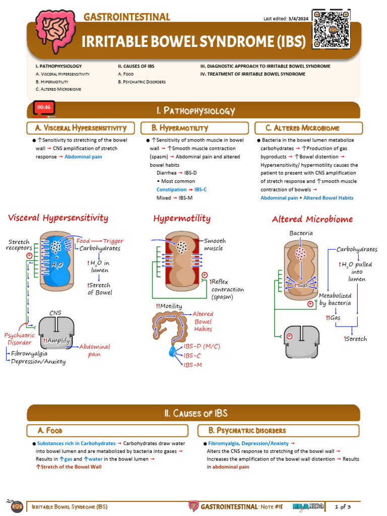 Causes and Management of IBS Hypermotility | PDF | Irritable Bowel ...