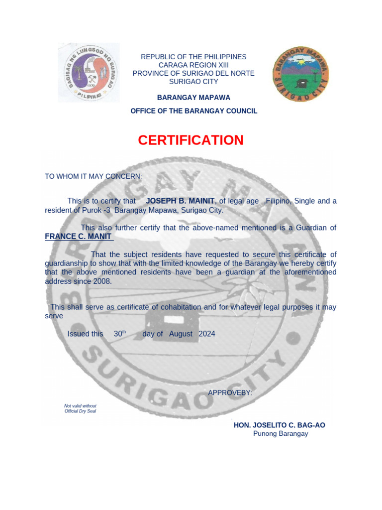 Certification of Guardianship for Joseph Mainit | PDF