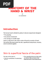 Kaplan's Cardinal Line in Hand Anatomy | PDF | Hand | Finger