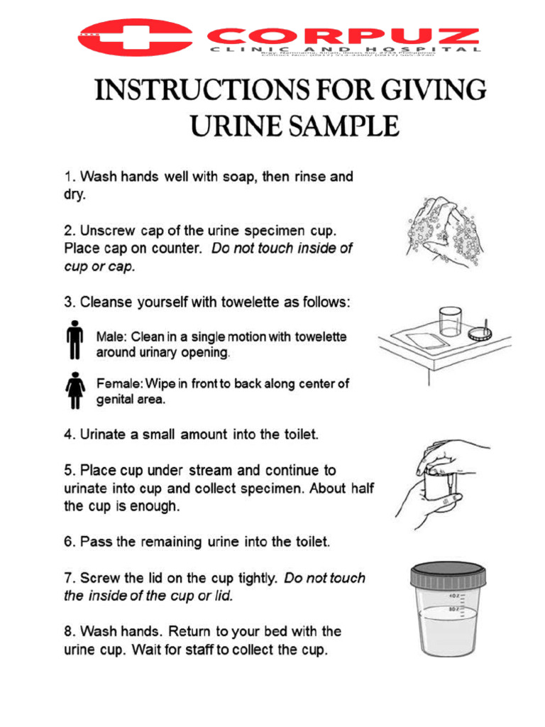Fecal Test Prep for Patients | PDF