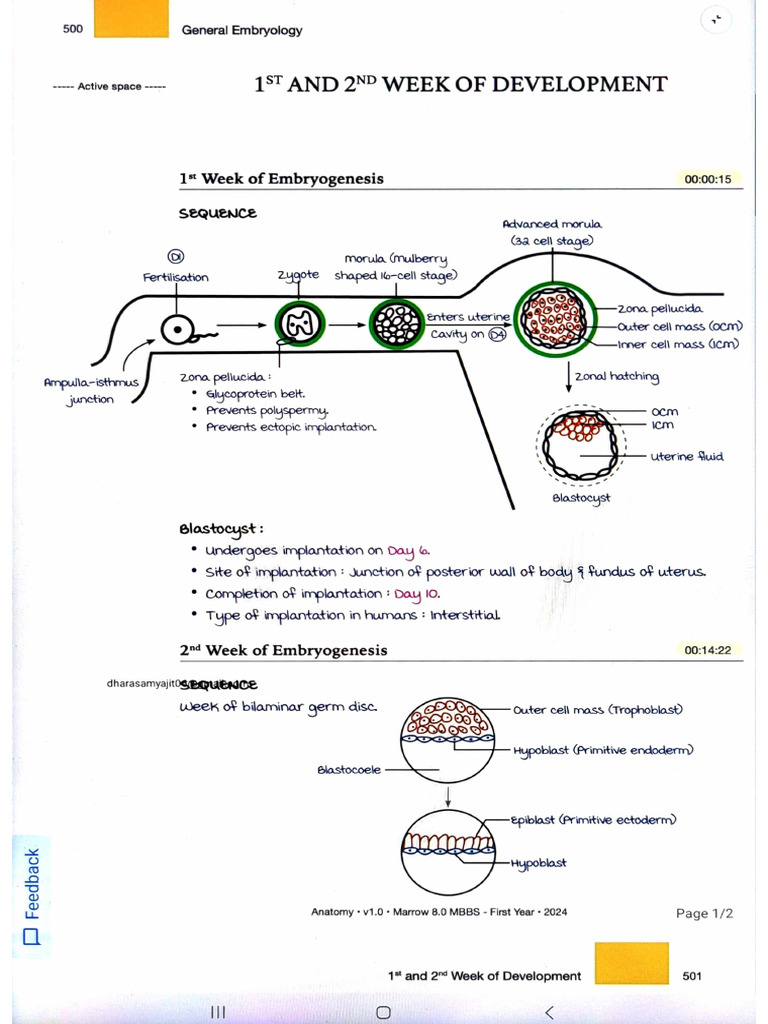 Neral Embryology | PDF