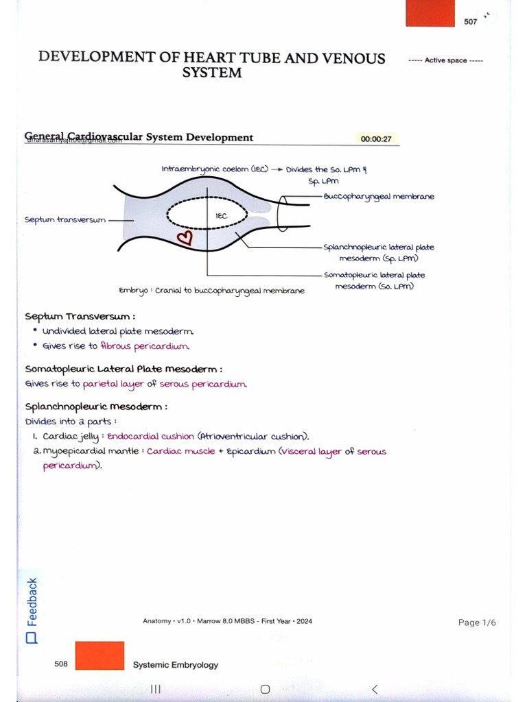 5.systemic Embryology | PDF