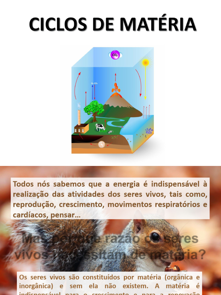Ciclos de Matéria nos Ecossistemas | PDF | Ciclo da água | Água