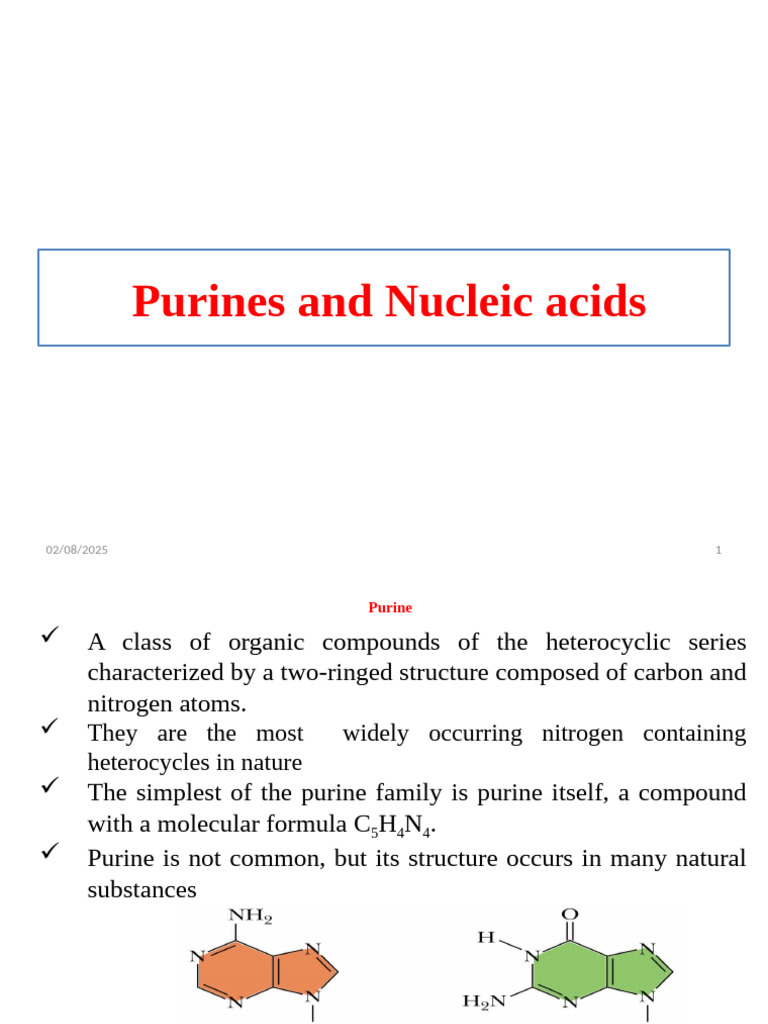 Purines, Nucleotides, and Their Functions | PDF | Nucleotides ...