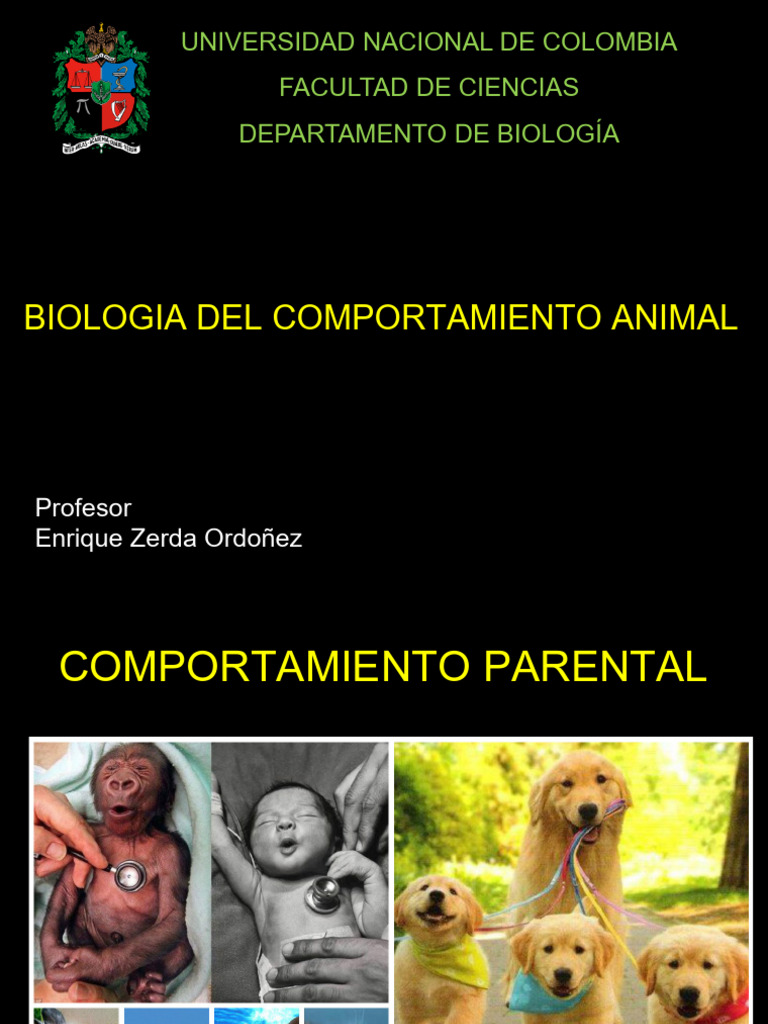 Comportamiento Parental Pdf Lactancia Ciencias Del Comportamiento