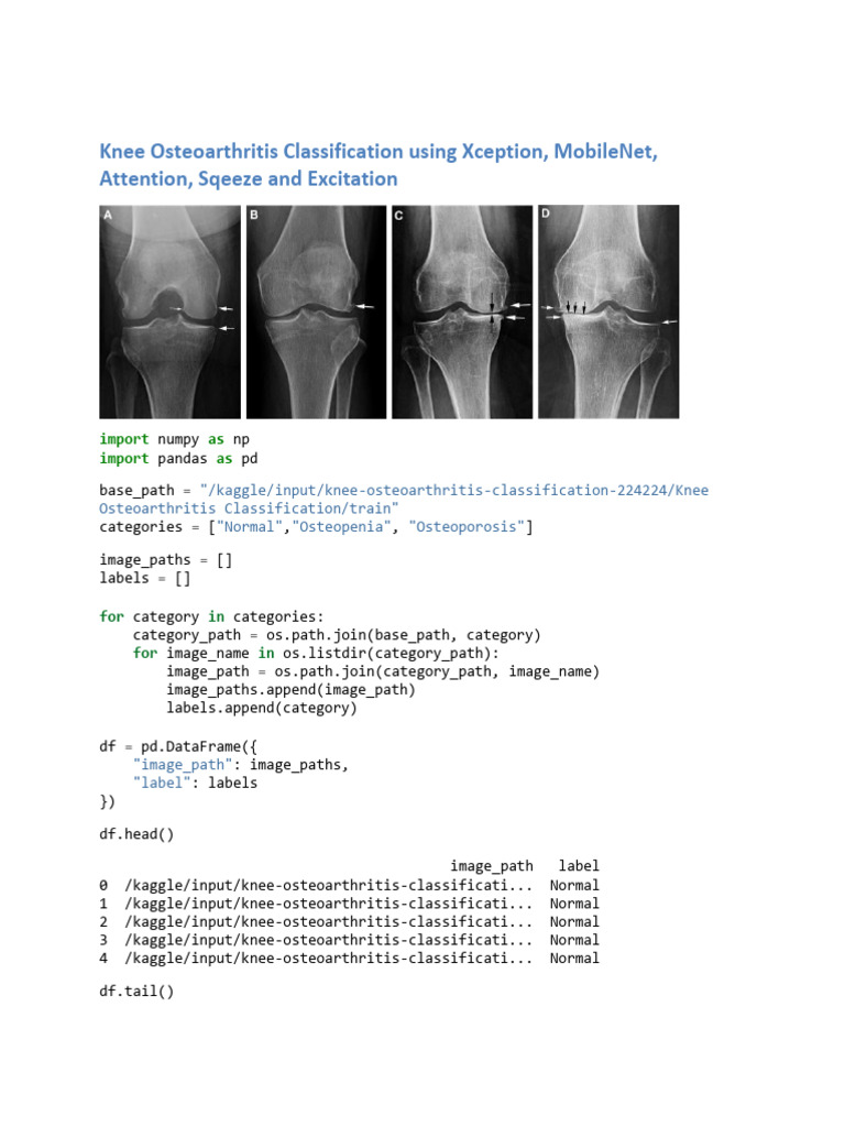 Knee Osteoarthritis Image Classification | PDF | Graphics Processing Unit