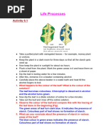 Codju Student Login Guide | PDF
