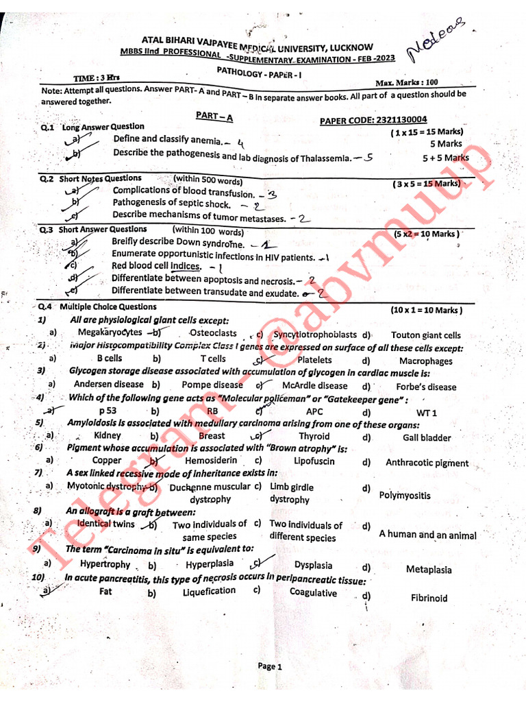 ABVMU - 2nd Year Supplementary Question Papers | PDF