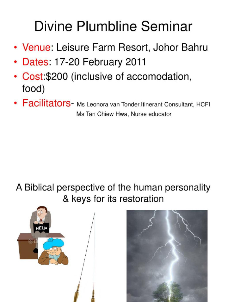 Divine Plumbline PDF