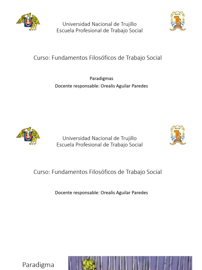 Paradigmas en Trabajo Social: Fundamentos | PDF | Paradigma | Realidad