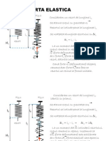 Forta Elastica