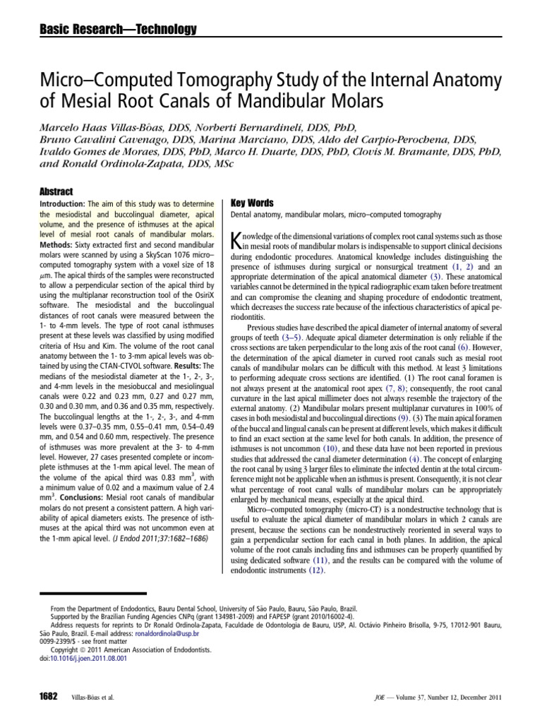 Anato MicroComputed Tomography Study of The Internal Anatomy | PDF ...