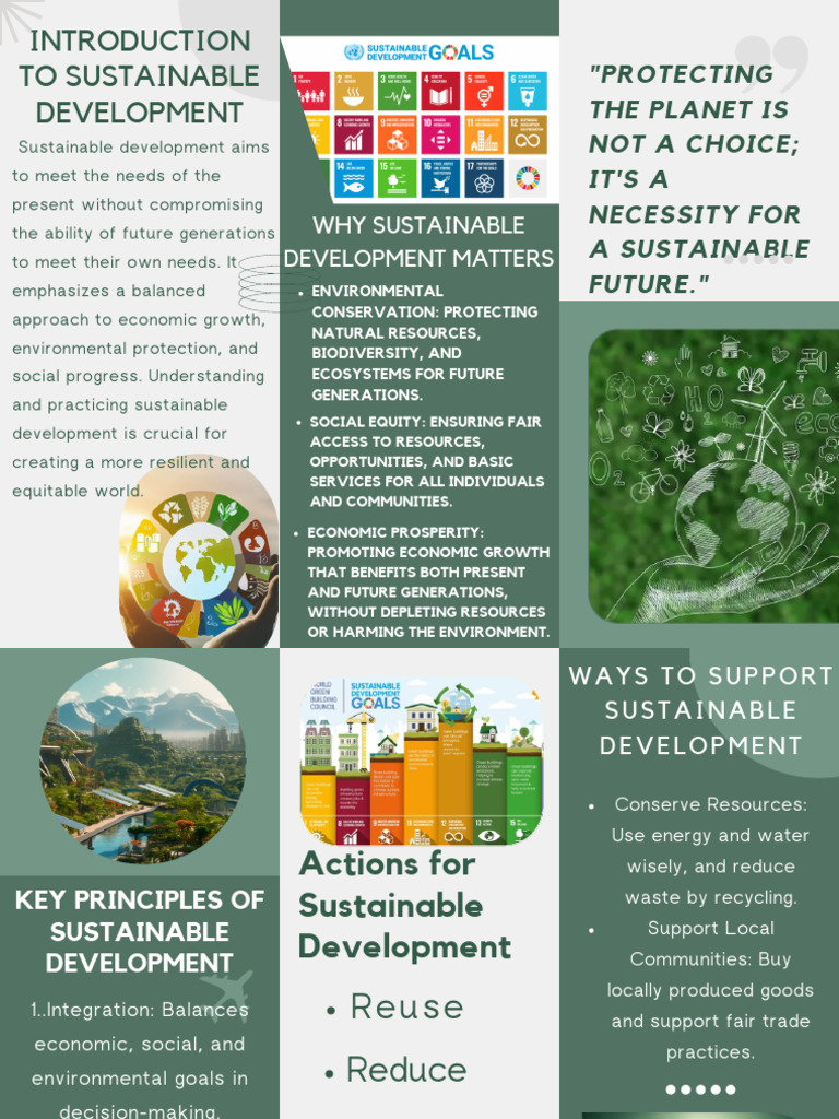 Sustainable Development Strategies | PDF | Sustainability | Sustainable ...