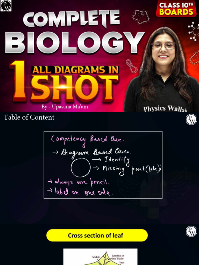 Complete Biology Diagrams Class Notes WARRIOR SERIES CLASS 10TH | PDF