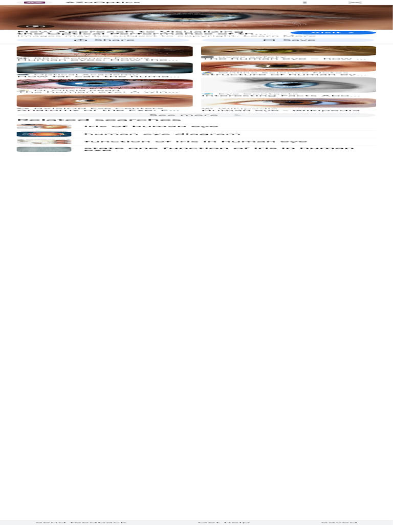 Visualizing Human Eye Optical Performance | PDF