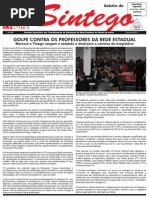 boletin sintego