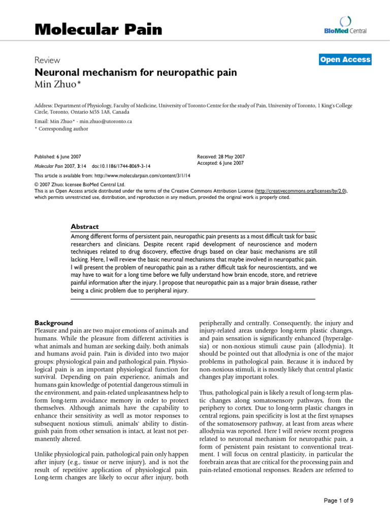 Neuronal Mechanisms of Neuropathic Pain | PDF | Long Term Potentiation ...