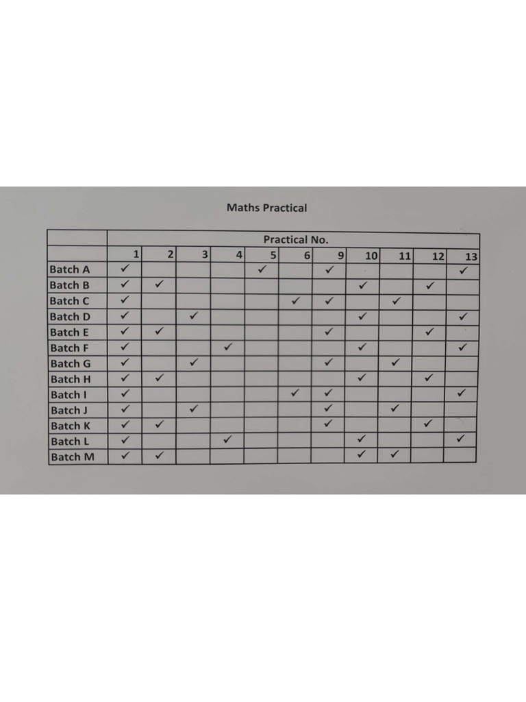 Maths Practical | PDF