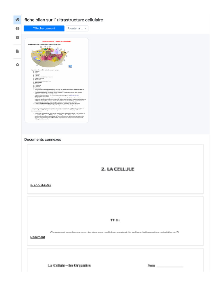 Ultrastructure des cellules eucaryotes | PDF | Cellule (Biologie ...