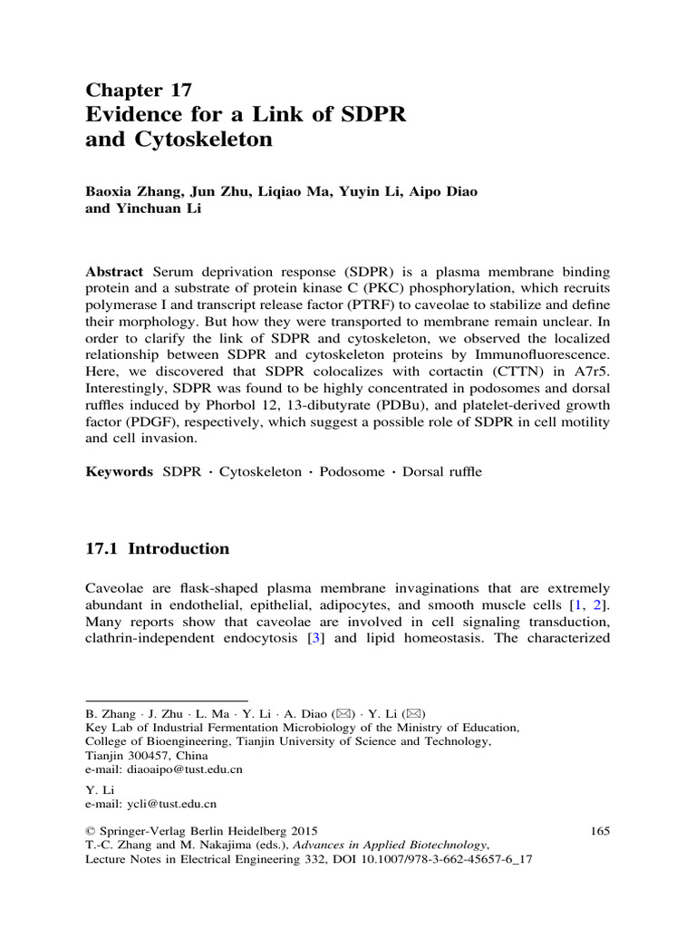 018-Chapter 17 Evidence For A Link of SDPR and Cytoskeleton | PDF ...