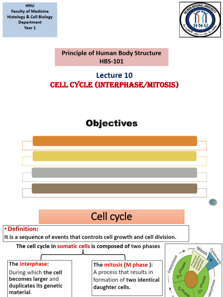 Understanding the Cell Cycle and Mitosis | PDF | Mitosis | Cell Cycle