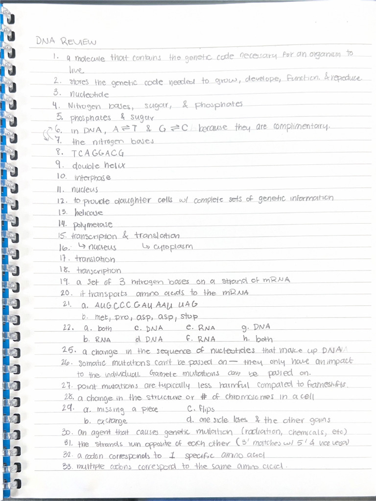 Dna Review | PDF