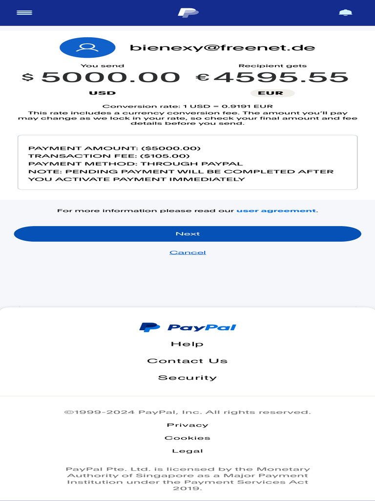 PayPal Make A Payment Preview 8 | PDF