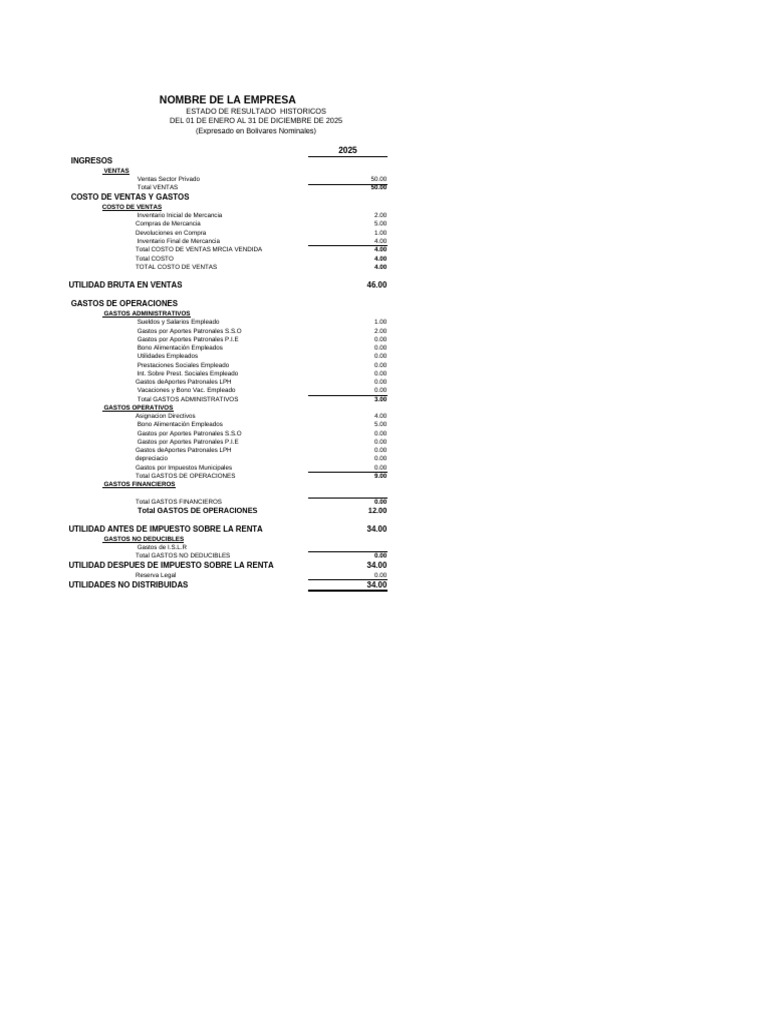 Estado de Resultados 2025 en Bolívares | PDF | Economias | Finanzas del ...