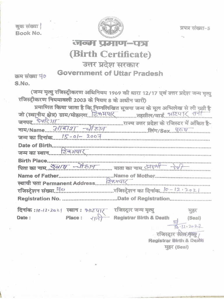 BIRTH CERTIFICATE FORMAT PDF UP visual data 3