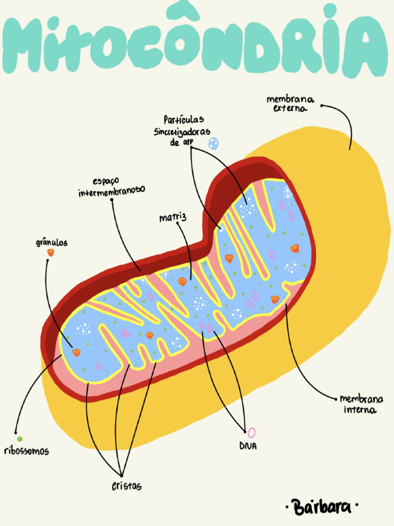 Biology pdf