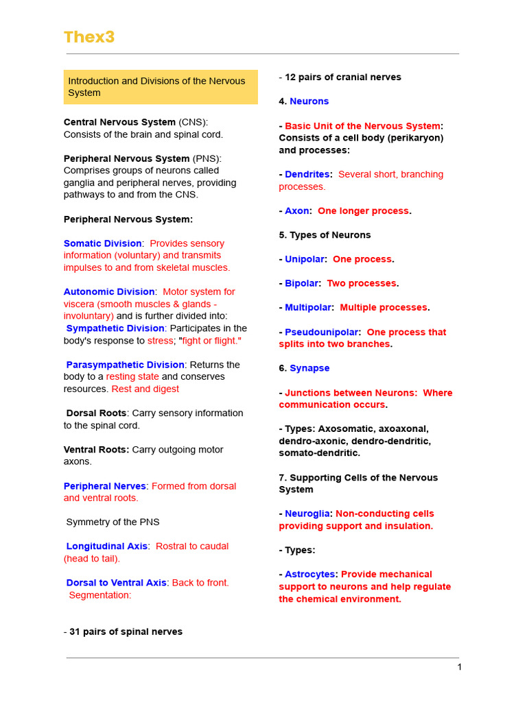 Overview of the Nervous System | PDF | Cerebrum | Central Nervous System