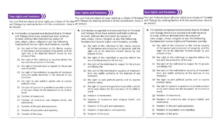 Rights and Freedoms Handout | PDF